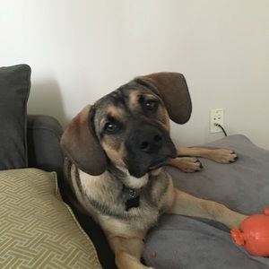 Meet your Posher, Brandon